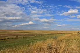 Бессарабия незаслуженно забыта, - Киссе