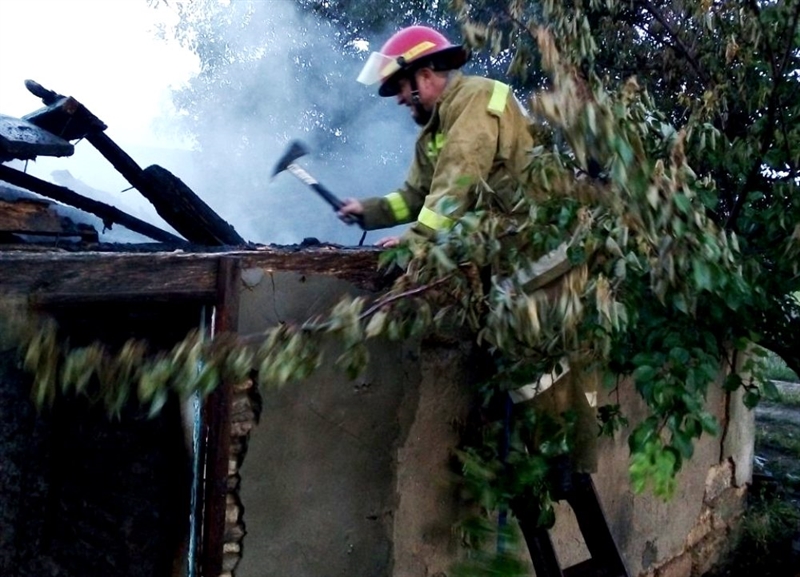 В Одесской области в пожаре погибли 12 голов домашнего скота