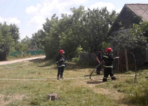В Одесской области на пожаре погибли мать с сыном