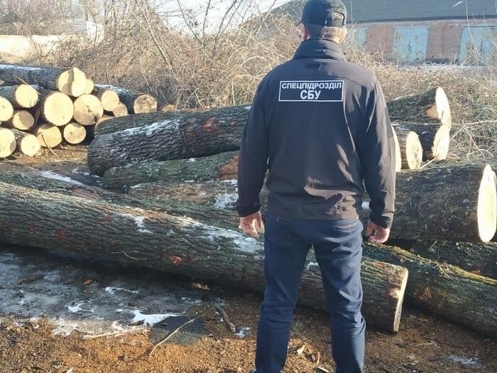 В Одесской области сотрудники лесхоза расхищали древесину