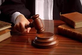 Председателя сельсовета будут судить за вырубку леса 