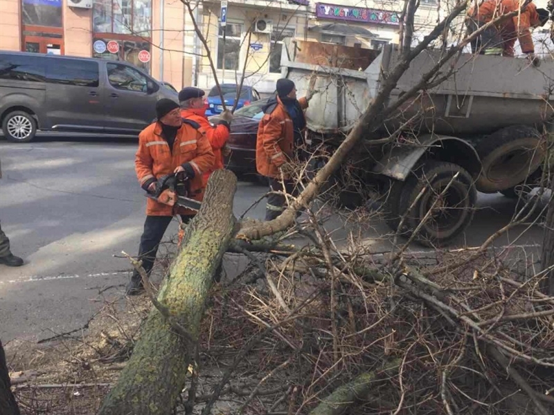 Одесские коммунальщики продолжают устранять последствия урагана