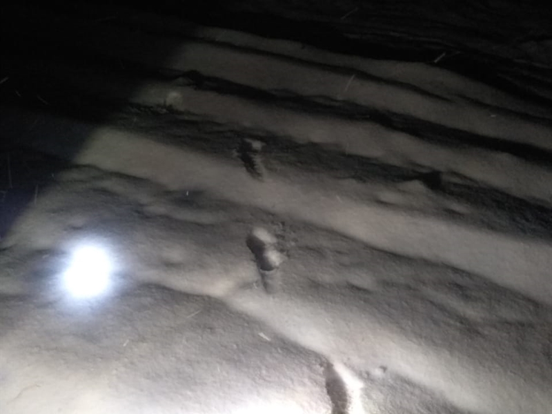 Пограничники нашли нарушителя границы по следам на снегу