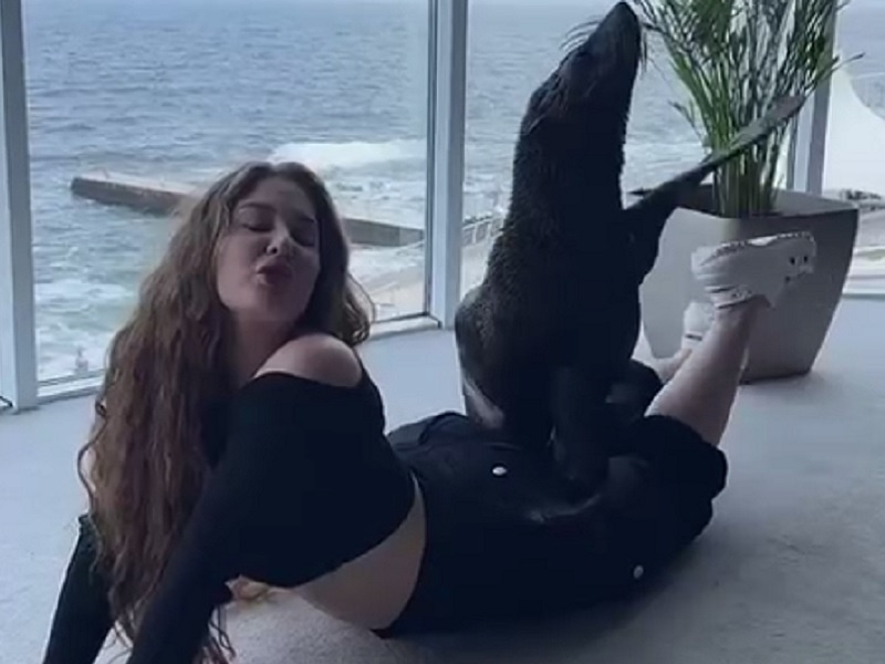 Тварина в оренду: Одеський дельфінарій потрапив у скандал через фотосесію з морським котиком