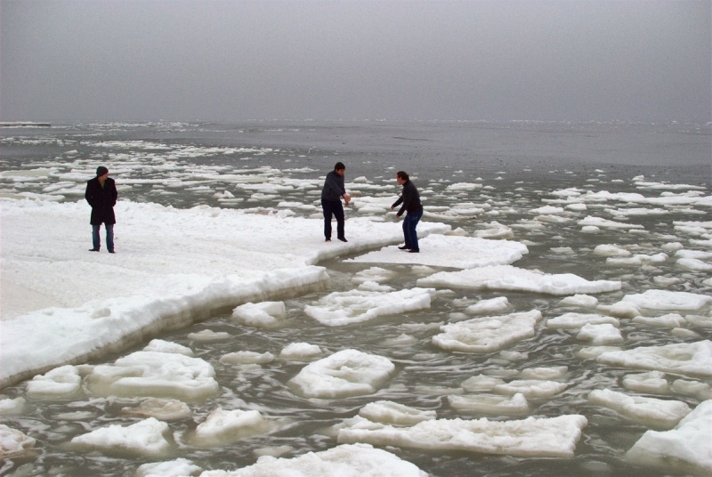 Потепление в Одессе: собаки, ледяной суп и туман ФОТО