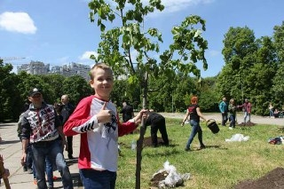 Одесситы высадили липы на Алее воинов АТО