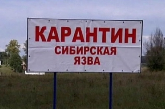 В Саратском районе несколько человек заболели сибирской язвой 