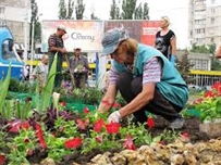 В центре Одессы планируют высадить 10 тысяч роз