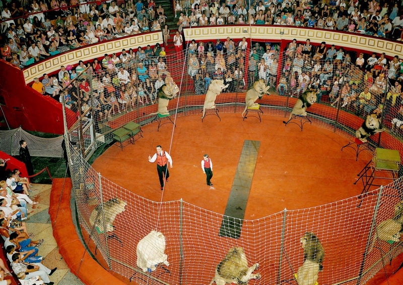 Одесский цирк лишиться всех животных