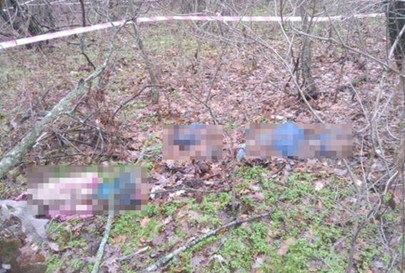 В Ананьевском районе в лесополосе нашли скелеты женщины и детей