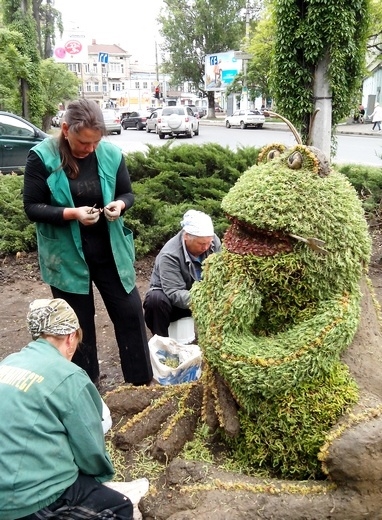 На Молдованке появилась топиарная лягушка ФОТО