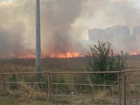 Вокруг Одессы горят поля и торфяники