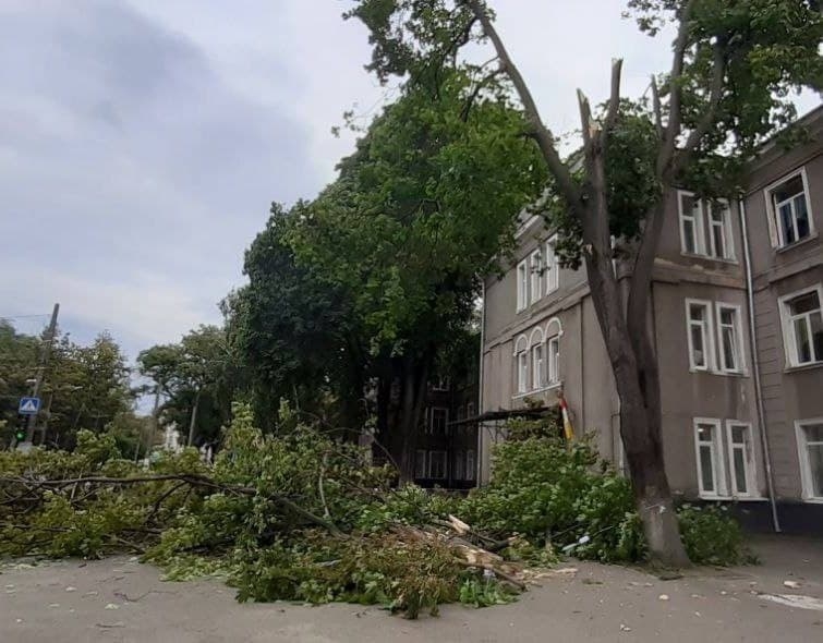 На Пироговской три большие ветки упали перед входом в школу 