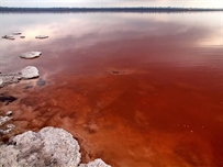 Погибающий культовый водоем стал основой уникального научного изобретения