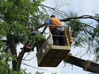 Водителям рекомендуют 23 июля не ездить по Пушкинской