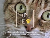 В Одессе состоится фестиваль бездомных животных «Home Me Fest»