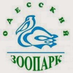 Одесский зоопарк планирует обеспечить медведей новым домом