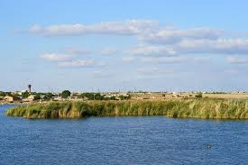 Озеро Сасык в Одесской области решили раздамбовать