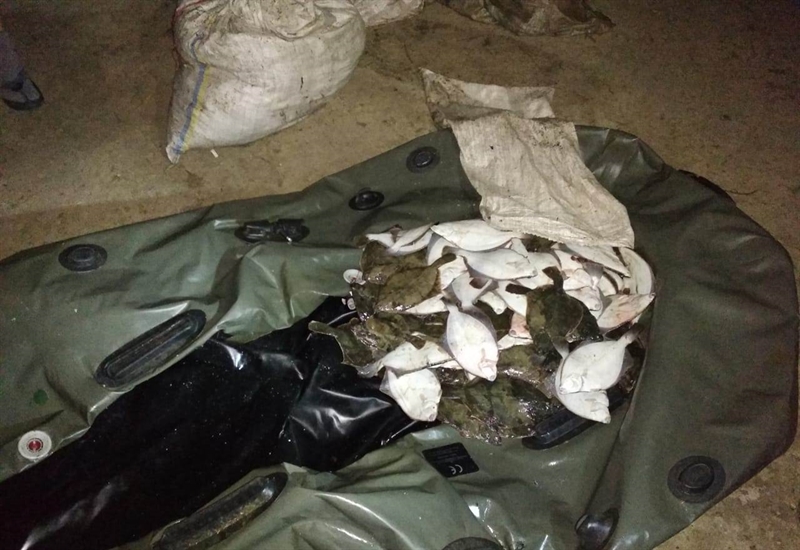 В Одесской области задержали браконьера с уловом на 360 тысяч гривен