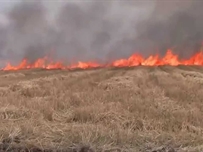 В Одессе горело поле орошения