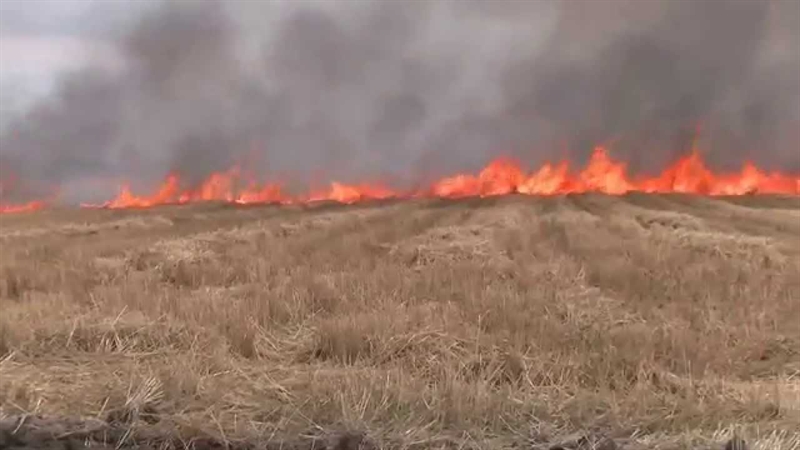 В Одессе горело поле орошения