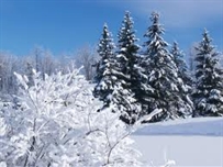 Одессу настиг циклон: Ночью город заметало снегом ФОТО