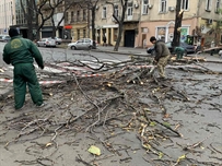 В Одессе стихия, падают деревья