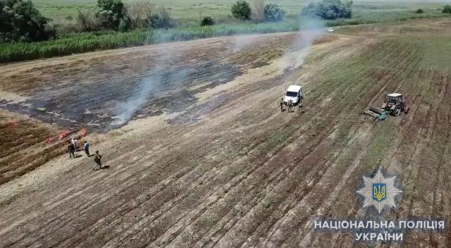 В  Измаильском районе обнаружили конопляное поле