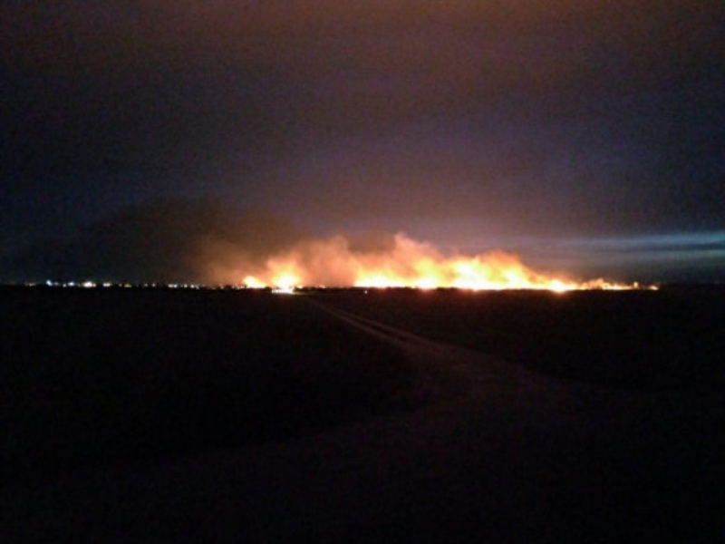 На территории Нижнеднестровского национального природоохранного парка случился крупный пожар