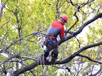 Одесситы удивлены неадекватом Горзелентреста ФОТО