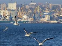 Одесская морская компания обжалует в суде действия силовиков из-за взлома дверей, - юрист