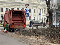 Вниманию водителей: по Екатерининской движение транспорта затруднено из-за обрезки деревьев