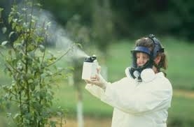 Условия хранения пестицидов в Одесской области не соответствуют нормам, - чиновник