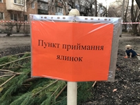 Вслед за Одессой пункты приема новогодних елок открыли еще в трех городах