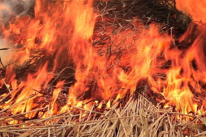 В Любашевском районе горело сено на ферме