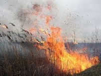 Экологи измерили атмосферные загрязнения, в связи с пожаром возле Одессы