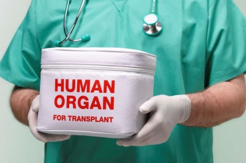 Кабмин установил цены на трансплантацию в Украине