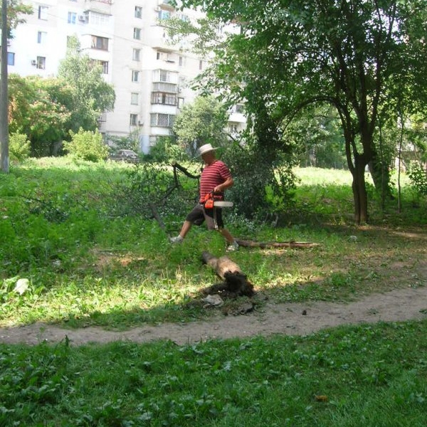 На Котовского мужчина пилил деревья бензопилой