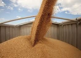 Одесские фермеры собрали почти 3 млн тонн зерновых