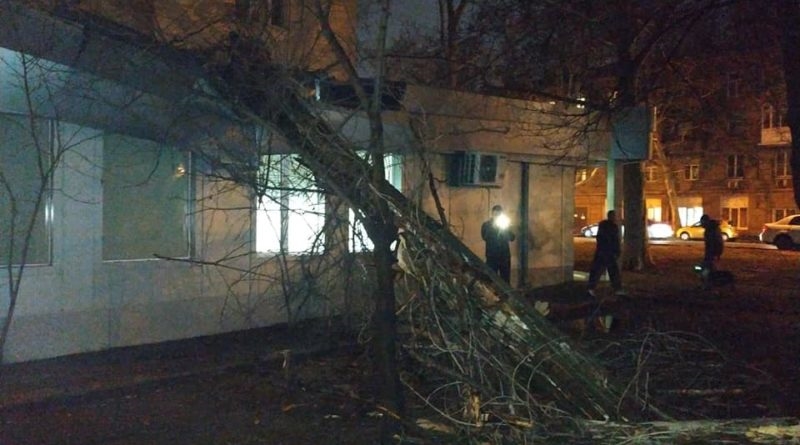 Непогода в Одессе: На здание банка рухнуло дерево