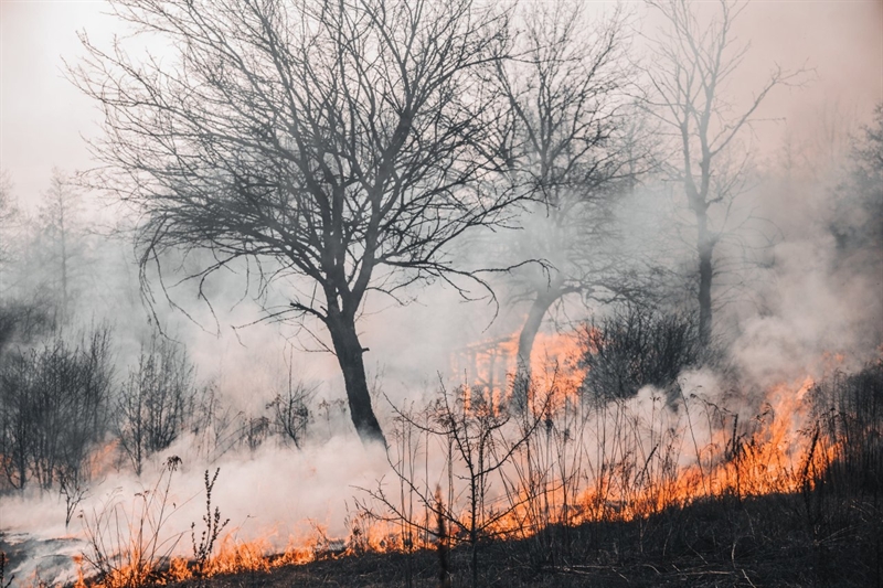 В Одесской области усилят противопожарные мероприятия