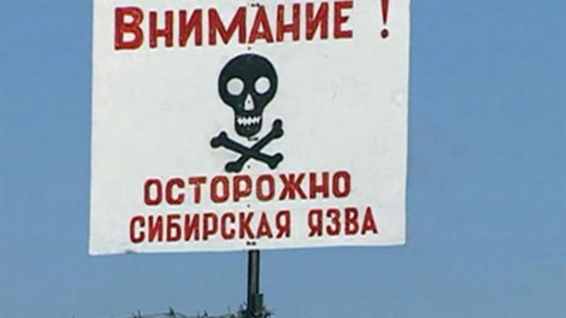 В еще одном селе Одесской области появилась сибирская язва