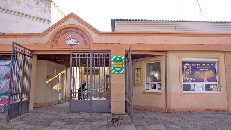 В Зоопарке отпразднуют Международный женский день