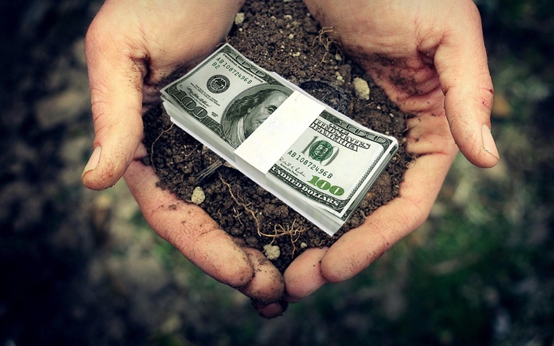 В Одесской области чиновника обвиняют в захвате более 200 га госземель