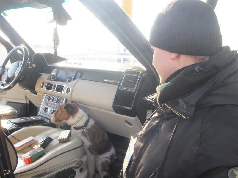 В Одесской области собака помогла пограничникам обнаружить патроны