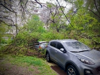 На завтра в Одесі знову оголосили штормове попередження