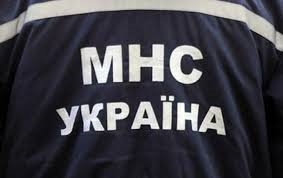 В Одессе дерево упало на автомобиль 