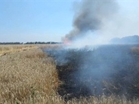 В Одесской области опасная ситуация с возможными пожарами