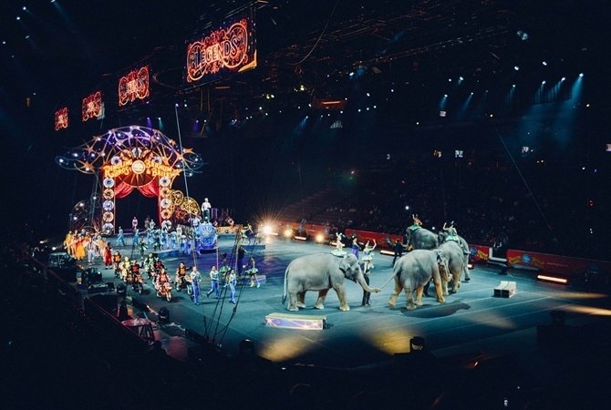 Одесский цирк, несмотря на запрет, продолжает эксплуатировать животных
