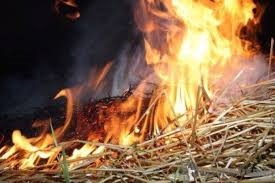 Из-за горящей скирды чуть не загорелся жилой дом